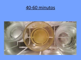 40-60 minutos 