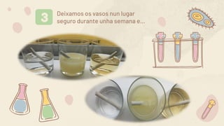 Deixamos os vasos nun lugar
seguro durante unha semana e…
2
3
 