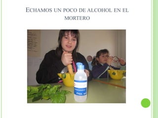 ECHAMOS UN POCO DE ALCOHOL EN EL
MORTERO
 