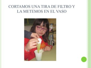 CORTAMOS UNA TIRA DE FILTRO Y
LA METEMOS EN EL VASO
 