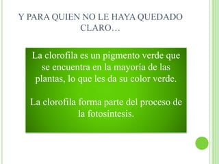 Y PARA QUIEN NO LE HAYA QUEDADO
CLARO…
La clorofila es un pigmento verde que
se encuentra en la mayoría de las
plantas, lo que les da su color verde.
La clorofila forma parte del proceso de
la fotosíntesis.
 