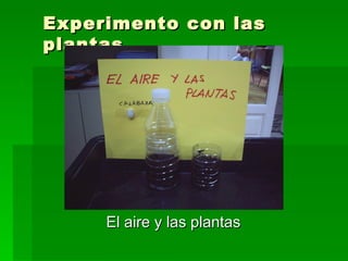 Experimento con las
plantas




     El aire y las plantas
 