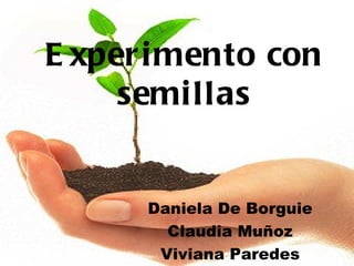Experimento con semillas Daniela De Borguie Claudia Muñoz Viviana Paredes 