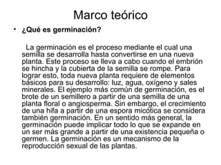 Marco teórico ¿Qué es germinación? La germinación es el proceso mediante el cual una semilla se desarrolla hasta convertirse en una nueva planta. Este proceso se lleva a cabo cuando el embrión se hincha y la cubierta de la semilla se rompe. Para lograr esto, toda nueva planta requiere de elementos básicos para su desarrollo: luz, agua, oxígeno y sales minerales. El ejemplo más común de germinación, es el brote de un semillero a partir de una semilla de una planta floral o angiosperma. Sin embargo, el crecimiento de una hifa a partir de una espora micótica se considera también germinación. En un sentido más general, la germinación puede implicar todo lo que se expande en un ser más grande a partir de una existencia pequeña o germen. La germinación es un mecanismo de la reproducción sexual de las plantas.  