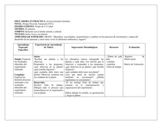 EDUCADORA EN PRÁCTICA: Javiera Guzmán González
NIVEL: Primer Nivel de Transición (NT1)
EDADES LÍMITES: Grupo de 4 a 5 años
TIEMPO: 45 minutos
ÁMBITO: Relación con el medio natural y cultural
NÚCLEO: Seres vivos y su entorno
APRENDIZAJE ESPERADO: (BCEP) “Identificar necesidades, características y cambios en los procesos de crecimiento y etapas del
desarrollo de las personas y otros seres vivos en diferentes ambientes y lugares”

   Aprendizaje        Experiencia de Aprendizaje
    Esperado                  de Niño/a                    Sugerencias Metodológicas               Recursos             Evaluación
    Específico

                     Inicio:                                                                    - Planta de cada Registro              de
Simple: Expresar      Reciben sus plantas y las      La educadora motiva entregando las         niño.               Observación
los resultados       observan.                       plantas a cada niño. Les solicita que la   - semillas
obtenidos del        Responden a las preguntas:      observen y respondan a las preguntas:      - cartulina         Matriz de Valoración
experimento          ¿qué observan en su planta?     ¿qué observan en su planta? ¿qué semilla   - ficha de trabajo.
realizado.           ¿qué semilla eligieron?         eligieron?
                     ¿qué cuidados debe tener una    ¿qué cuidados debe tener una planta?
Complejo:            planta? Observan cartulina con  ¿con qué parte de nuestro cuerpo
Explicar los         los cuidados de la planta.      medimos su crecimiento? ¿Dónde
distintos procesos                                   registramos su crecimiento?
realizados y los     Desarrollo:                      Se les entrega ficha de trabajo que
resultados           Reciben ficha de trabajo. consiste en la sistematización y
obtenidos del        Dibujan todo el proceso que organización del experimento.
experimento          desarrollaron en el experimento
realizado.           con la planta.                  Deben dibujar la semilla, su germinación
                                                     y luego la planta.
 