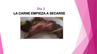 Día 3
LA CARNE EMPIEZA A SECARSE