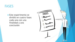FASES
Este experimento se
dividió en cuatro fases
cada una con una
finalidad y una
conclusión
 