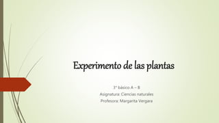 Experimento de las plantas
3° básico A – B
Asignatura: Ciencias naturales
Profesora: Margarita Vergara
 