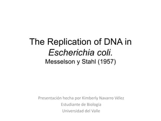 The Replication of DNA in
    Escherichia coli.
     Messelson y Stahl (1957)




  Presentación hecha por Kimberly Navarro Vélez
              Estudiante de Biología
               Universidad del Valle
 