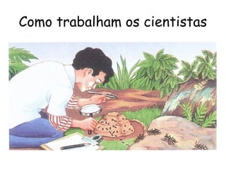 Como trabalham os cientistas
 