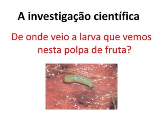 A investigação científica
De onde veio a larva que vemos
     nesta polpa de fruta?
 