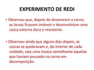 EXPERIMENTO DE REDI
• Observou que, depois de devorarem a carne,
  as larvas ficavam imóveis e desenvolviam uma
  casca externa dura e resistente.

• Observou ainda que alguns dias depois, as
  cascas se quebravam e, do interior de cada
  unidade, saía uma mosca semelhante àquelas
  que haviam pousado na carne em
  decomposição.
 