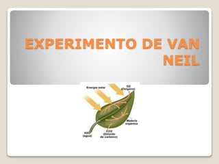 EXPERIMENTO DE VAN
NEIL
 