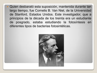 Quien desbarató esta suposición, mantenida durante tan
largo tiempo, fue Cornelis B. Van Niel, de la Universidad
de Stanford, Estados Unidos. Este investigador, que a
principios de la década de los treinta era un estudiante
de posgrado, estaba estudiando la fotosíntesis en
diferentes tipos de bacterias fotosintéticas.
 