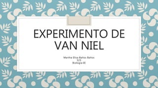 EXPERIMENTO DE
VAN NIEL
Martha Elisa Baños Baños
523
Biología III
 