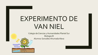 EXPERIMENTO DE
VAN NIEL
Colegio de Ciencias y Humanidades Plantel Sur
Biologia III
Alumna: González Ahumada Alexa
 