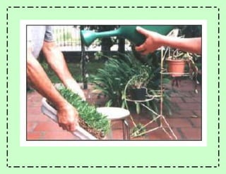 Experimento erosión