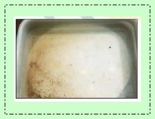 Experimento erosión