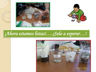 ¡Ahora estamos listas!….¡Solo a esperar…!
 