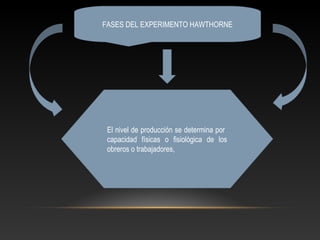 FASES DEL EXPERIMENTO HAWTHORNE
El nivel de producción se determina por
capacidad físicas o fisiológica de los
obreros o trabajadores,
 