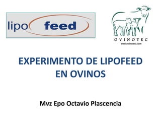 EXPERIMENTO DE LIPOFEED
EN OVINOS
Mvz Epo Octavio Plascencia
 