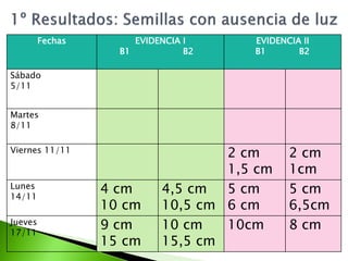 Fechas        EVIDENCIA I     EVIDENCIA II
                    B1           B2    B1       B2

Sábado
5/11


Martes
8/11

Viernes 11/11                       2 cm      2 cm
                                    1,5 cm    1cm
Lunes
14/11
                  4 cm      4,5 cm  5 cm      5 cm
                  10 cm     10,5 cm 6 cm      6,5cm
Jueves
17/11
                  9 cm      10 cm   10cm      8 cm
                  15 cm     15,5 cm
 