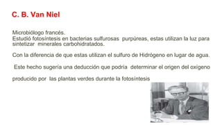 C. B. Van Niel
Microbiólogo francés.
Estudió fotosíntesis en bacterias sulfurosas purpúreas, estas utilizan la luz para
sintetizar minerales carbohidratados.
Con la diferencia de que estas utilizan el sulfuro de Hidrógeno en lugar de agua.
Este hecho sugería una deducción que podría determinar el origen del oxígeno
producido por las plantas verdes durante la fotosíntesis
 