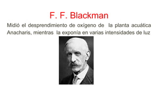 F. F. Blackman
Midió el desprendimiento de oxígeno de la planta acuática
Anacharis, mientras la exponía en varias intensidades de luz
 