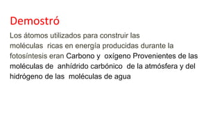 Demostró
Los átomos utilizados para construir las
moléculas ricas en energía producidas durante la
fotosíntesis eran Carbono y oxígeno Provenientes de las
moléculas de anhídrido carbónico de la atmósfera y del
hidrógeno de las moléculas de agua
 