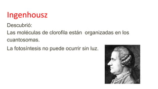 Ingenhousz
Descubrió:
Las moléculas de clorofila están organizadas en los
cuantosomas.
La fotosíntesis no puede ocurrir sin luz.
 