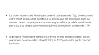 ● La visión moderna de fotosíntesis entrevé un sistema de “flujo de electrones”
entre varios compuestos aceptores. A medida que los electrones caen se
mueven de un compuesto a otro, su energía cinética (provista inicialmente
por la luz ) se atrapa como energía química potencial en la forma de ATP.
● El proceso fotosintético completo se divide en dos grandes partes: En las
reacciones de obscuridad, el NADPH2 y el ATP producidos por la reacción
luminosa.
 