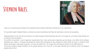 Stephen Hales.
Aquí ya se conocía que las hojas de las plantas tienen muchas aberturas (estomas) en sus superficies.
El sacerdote inglès Stephen Hales se interesò en todo el problema del flujo de materiales a travès de las plantas.
Aparentemente èl fue uno de los primeros en notar (aunque indirectamente) que tal vez el agua no es la ùnica relacionada con
la nutrición de las plantas.
él escribió: de acuerdo con el siguiente experimento hay cierta razón para sospechar que las hojas y los tallos de las plantas
absorben aire elástico...Coloquè una planta de menta bien arraigada en una cisterna de vidrio llena de tierra, y entonces echè
dentro tanta agua como pudo contener ; un vaso invertido ZZ, aa, el agua fue elevada por medio de un sifón hasta aa.
Al mismo tiempo coloquè tambièn, de la misma manera, otro vaso ZZ, aa de igual tamaño que el anterior, pero sin ninguna
planta dentro de él.
 