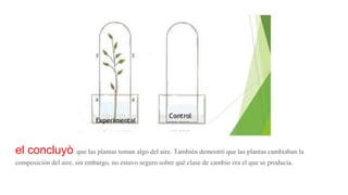 el concluyò que las plantas toman algo del aire. También demostrò que las plantas cambiaban la
composición del aire, sin embargo, no estuvo seguro sobre què clase de cambio era el que se producìa.
 