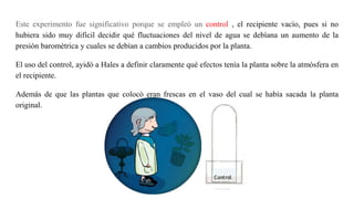 Este experimento fue significativo porque se empleò un control , el recipiente vacìo, pues si no
hubiera sido muy difícil decidir qué fluctuaciones del nivel de agua se debìana un aumento de la
presiòn baromètrica y cuales se debìan a cambios producidos por la planta.
El uso del control, ayidò a Hales a definir claramente què efectos tenìa la planta sobre la atmòsfera en
el recipiente.
Además de que las plantas que colocò eran frescas en el vaso del cual se había sacada la planta
original.
 