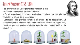 Joseph Priestley 1733-1804
-los animales y las velas prendidas dañaban el aire
-Función o método restauradora del aire
- En el experimento, de sus resultados concluye que las plantas
(invierten el efecto de la respiración)
-Conclusión, las plantas invierten el efecto de la respiración, El
concluyó que los animales afectan la atmósfera añadiendo algo a ella,
mientras que las plantas sustraen algo de ella cuando purifican la
atmósfera.
 