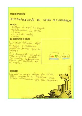 Experimentos 1º ciclo