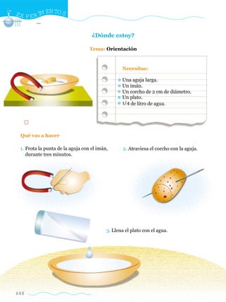 EX P E R I EN TO S
          M


                                   ¿Dónde estoy?

                                  Tema: Orientación


                                                 Necesitas:

                                                 Una aguja larga.
                                                 Un imán.
                                                 Un corcho de 2 cm de diámetro.
                                                 Un plato.
                                                 1/4 de litro de agua.




 Qué vas a hacer

 1. Frota la punta de la aguja con el imán,       2. Atraviesa el corcho con la aguja.
    durante tres minutos.




                                          3. Llena el plato con el agua.




648
 