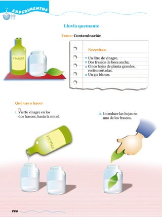 E X P E R IMENTOS


                                    Lluvia quemante

                                   Tema: Contaminación


                                               Necesitas:

                                               Un litro de vinagre.
                                               Dos frascos de boca ancha.
                                               Cinco hojas de planta grandes,
                                               recién cortadas.
                                               Un gis blanco.




 Qué vas a hacer

 1. Vierte vinagre en los                             2. Introduce las hojas en
    dos frascos, hasta la mitad.                         uno de los frascos.




756
 