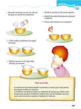 EXPERI M E N T O S


6. Revuelve la harina, la sal y los 180 ml     7. Divide la mezcla en dos partes iguales.
   de agua en uno de los recipientes.
                                               9. Añade la levadura burbujeante al primer
                                                  recipiente.

                                               8. Coloca cada mitad en un recipiente.




10. Cubre ambos recipientes con papel
  encerado.




11. Déjalos reposar en un lugar tibio
    durante 50 minutos.




                                        Qué sucedió
          La mezcla con la levadura duplica su tamaño, en tanto que la otra perma-
          nece igual, no altera su volumen.
          La levadura convierte la harina en moléculas de azúcar que utiliza como
          energía para producir bióxido de carbono que son las burbujas que pro-
          vocan que la mezcla se esponje y duplique su volumen.




                                                                                        771
 