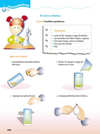E X P E R IMENTOS


                                  El clavo cobrizo

                                Tema: Cambios químicos



                                              Necesitas:

                                              200 ml de vinagre o jugo de limón.
                                              15 monedas de cobre viejas y opacas.
                                              Un clavo largo, nuevo y limpio.
                                              Un vaso de cristal.
                                              Sal.



  Qué vas a hacer

  1. Acomoda las monedas dentro                2. Vierte el vinagre o jugo de
     del vaso.                                    limón en el vaso.




  3. Agrega una pizca de sal.                  4. Limpia perfectamente el clavo.




776
 