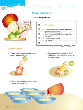 EX P E R I EN TO S
          M


                                  Cereal magnético

                                   Tema: Magnetismo



                                              Necesitas:

                                              Cinco muestras de cereal, dos enri-
                                              quecidos con hierro.
                                              Cinco bolsas de plástico pequeñas.
                                              Un rodillo.
                                              Cinco platos chicos.
                                              Un imán.



  Qué vas a hacer

  1. Coloca cada una de las muestras           2. Tritura cada muestra con el ro-
     en una bolsa diferente.                      dillo hasta que quede reducida a
                                                  un polvo fino.




      3. Vacía el contenido de cada bolsa
         en un plato distinto.




652
 