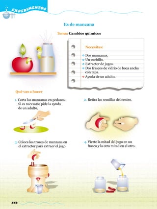 E X P E R IMENTOS


                                   Es de manzana

                              Tema: Cambios químicos



                                            Necesitas:

                                            Dos manzanas.
                                            Un cuchillo.
                                            Extractor de jugos.
                                            Dos frascos de vidrio de boca ancha
                                            con tapa.
                                            Ayuda de un adulto.



  Qué vas a hacer

 1. Corta las manzanas en pedazos.         2. Retira las semillas del centro.
    Si es necesario pide la ayuda
    de un adulto.




 3. Coloca los trozos de manzana en        4. Vierte la mitad del jugo en un
    el extractor para extraer el jugo.        frasco y la otra mitad en el otro.




778
 