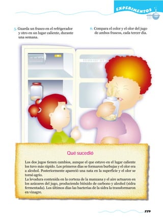 EXPERI M E N T O S


5. Guarda un frasco en el refrigerador            6. Compara el color y el olor del jugo
   y otro en un lugar caliente, durante              de ambos frascos, cada tercer día.
   una semana.




                                  Qué sucedió
       Los dos jugos tienen cambios, aunque el que estuvo en el lugar caliente
       los tuvo más rápido. Los primeros días se formaron burbujas y el olor era
       a alcohol. Posteriormente apareció una nata en la superficie y el olor se
       tornó agrio.
       La levadura contenida en la corteza de la manzana y el aire actuaron en
       los azúcares del jugo, produciendo bióxido de carbono y alcohol (sidra
       fermentada). Los últimos días las bacterias de la sidra la transformaron
       en vinagre.




                                                                                      779
 