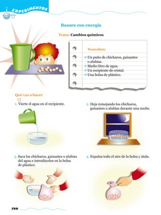 E X P E R IMENTOS


                                 Basura con energía

                               Tema: Cambios químicos



                                              Necesitas:

                                              Un puño de chícharos, guisantes
                                              o alubias.
                                              Medio litro de agua.
                                              Un recipiente de cristal.
                                              Una bolsa de plástico.




 Qué vas a hacer

 1. Vierte el agua en el recipiente.          2. Deja remojando los chícharos,
                                                 guisantes o alubias durante una noche.




 3. Saca los chícharos, guisantes o alubias   4. Expulsa todo el aire de la bolsa y átala.
    del agua e introdúcelos en la bolsa
    de plástico.




780
 