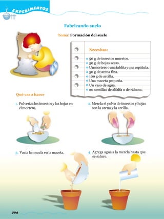 E X P E R IMENTOS


                                   Fabricando suelo

                              Tema: Formación del suelo



                                             Necesitas:

                                             50 g de insectos muertos.
                                             50 g de hojas secas.
                                             Un mortero o una tablita y una espátula.
                                             50 g de arena fina.
                                             100 g de arcilla.
                                             Una maceta pequeña.
                                             Un vaso de agua.
                                             20 semillas de alfalfa o de rábano.
  Qué vas a hacer

 1. Pulveriza los insectos y las hojas en    2. Mezcla el polvo de insectos y hojas
    el mortero.                                 con la arena y la arcilla.




 3. Vacía la mezcla en la maceta.            4. Agrega agua a la mezcla hasta que
                                                se sature.




796
 