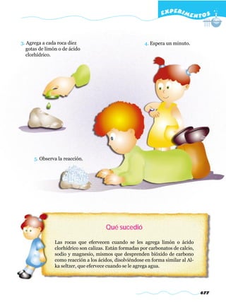 EXPERI M E N T O S



3. Agrega a cada roca diez                                4. Espera un minuto.
   gotas de limón o de ácido
   clorhídrico.




      5. Observa la reacción.




                                       Qué sucedió

                Las rocas que efervecen cuando se les agrega limón o ácido
                clorhídrico son calizas. Están formadas por carbonatos de calcio,
                sodio y magnesio, mismos que desprenden bióxido de carbono
                como reacción a los ácidos, disolviéndose en forma similar al Al-
                ka seltzer, que efervece cuando se le agrega agua.




                                                                                    677
 