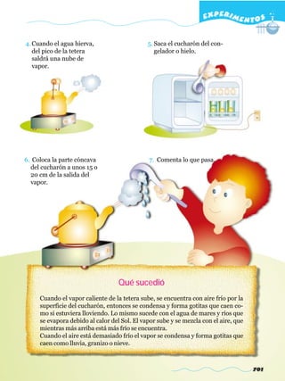 EXPERI M E N T O S


4. Cuando el agua hierva,                     5. Saca el cucharón del con-
   del pico de la tetera                         gelador o hielo.
   saldrá una nube de
   vapor.




6. Coloca la parte cóncava                    7. Comenta lo que pasa.
  del cucharón a unos 15 o
  20 cm de la salida del
  vapor.




                                   Qué sucedió
     Cuando el vapor caliente de la tetera sube, se encuentra con aire frío por la
     superficie del cucharón, entonces se condensa y forma gotitas que caen co-
     mo si estuviera lloviendo. Lo mismo sucede con el agua de mares y ríos que
     se evapora debido al calor del Sol. El vapor sube y se mezcla con el aire, que
     mientras más arriba está más frío se encuentra.
     Cuando el aire está demasiado frío el vapor se condensa y forma gotitas que
     caen como lluvia, granizo o nieve.



                                                                                      701
 