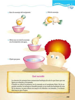 EXPERI M E N T O S


4. Saca la naranja del recipiente.                    5. Pela la naranja.




6. Mete una vez más la naranja
   en el recipiente con agua.




7. Fíjate que pasa.




                                     Qué sucedió
     La cáscara de naranja tiene numerosas burbujas de aire lo que hace que sea
     ligera en relación a su tamaño.
     Cuando se colocó la primera vez la naranja en el recipiente flotó. En la se-
     gunda ocasión, la naranja se hundió porque ya no tenía las burbujas de aire
     de la cáscara, su peso ahora era mayor en relación a su tamaño, y su densi-
     dad mayor que el agua.



                                                                                    735
 