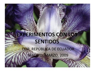 EXPERIMENTOS CON LOS SENTIDOS CEIP. REPÚBLICA DE ECUADOR MADRID. MARZO, 2009 