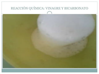 REACCIÓN QUÍMICA: VINAGRE Y BICARBONATO
 